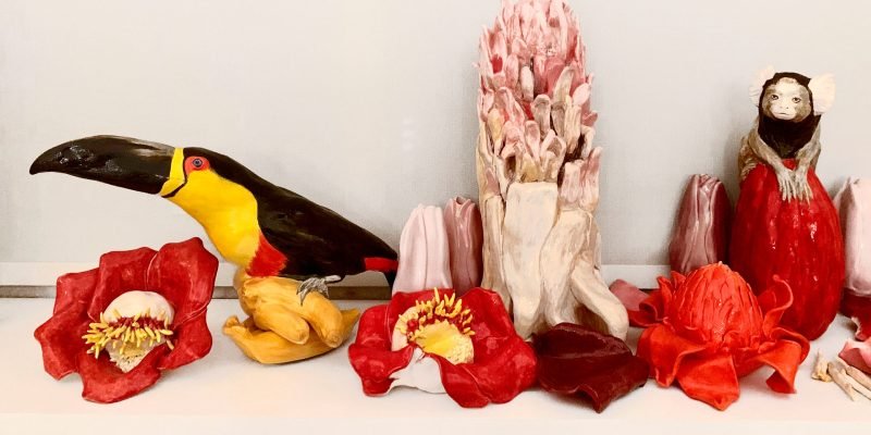 ceramicas